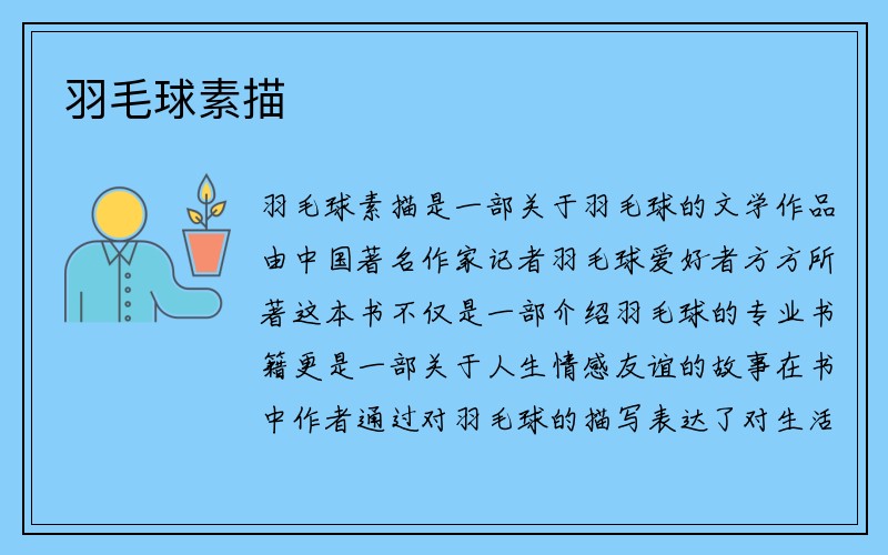 羽毛球素描