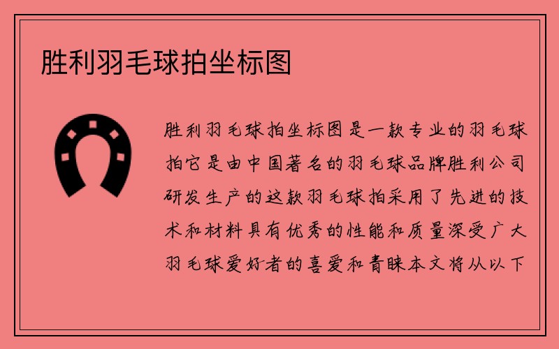 胜利羽毛球拍坐标图